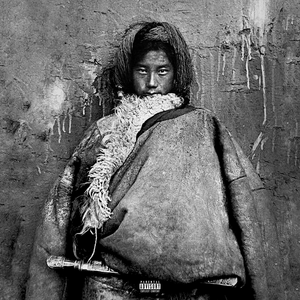 男人把大鸡巴插入逼的视频
